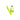 Elite Cannibal XC Bio Bottle Cage Yellow Fluo