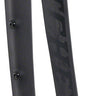Ritchey WCS Carbon Brevet Road Fork - 700 12 x 100mm Thru-Axle Straight Steerer Flat Mount Matte Carbon