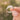 Feather from an Angel Ring - Gio's Outdoors -Faie Jewels