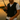 LITEGUEST Water-Cooled Cooling Vest – Battery-Free Heat Relief - Gio's Outdoors -SmartTherm OutdoorLiteGear Inc.