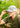 Smithville Hat - Richardson 112 - Gio's Outdoors