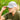 Smithville Hat - Richardson 112 - Gio's Outdoors