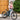 Rundeer Starry Sky UD Carbon Fiber Electric Bike - Gio's Outdoors -Rundeer