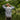 Reaction Tackle SPF UPF 50+ Long Sleeve Fishing Shirt - Gio's Outdoors