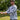 Reaction Tackle SPF UPF 50+ Long Sleeve Fishing Shirt - Gio's Outdoors