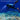 LITEGUEST Pro Submersible Diving Headlamp – IPX8 Waterproof Head Light - Gio's Outdoors -SmartTherm OutdoorLiteGear Inc.