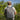Reaction Tackle Fishing Tackle Backpack- Trays included - Gio's Outdoors