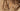 LITEGUEST Heated Camouflage Jacket  Waterproof Outdoor for Winter - Gio's Outdoors -SmartTherm OutdoorLiteGear Inc.