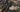 LITEGUEST Heated Pants Cargo Multi-Pocket Outdoor for Winter - Gio's Outdoors -SmartTherm OutdoorLiteGear Inc.