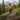 Gearhead Running Belt - Gio's Outdoors -Orange Mud, LLC