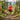 Gearhead Running Belt - Gio's Outdoors -Orange Mud, LLC