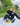 Our World Needs Jesus Black Unisex Sweatpant - Gio's Outdoors -Elevated Faith
