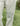 Perfect Love Unisex Sweatpant - Gio's Outdoors -Elevated Faith