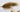 Pine Squirrel Leech - 4 Colors - Gio's Outdoors