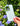 Praise Phone Case - Gio's Outdoors -Elevated Faith