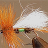 Royal Coachman Trude (Lime) - Gio's Outdoors