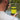 Reaction Tackle Nylon Monofilament Fishing Line - Gio's Outdoors