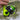 Reaction Tackle Fishing Rod and Spinning Reel Combo -SmoothCast - NEW - Gio's Outdoors