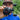 Reaction Tackle Baitcasting Fishing Reel – ReactCast Edition- High-Speed 7.3:1 Gear Ratio - NEW - Gio's Outdoors