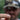 Reaction Tackle Lead Ned Rig - Shroom Jigs (25-Pack) - Gio's Outdoors