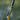 Reaction Tackle Lead Ned Rig - Shroom Jigs (25-Pack) - Gio's Outdoors