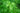 Stevia Leaf Powder - Gio's Outdoors -Country Life Natural Foods