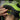Kids Full-Face Bike Helmet Cartoon for Boys and Girls - Gio's Outdoors -ROCKBROSUSA