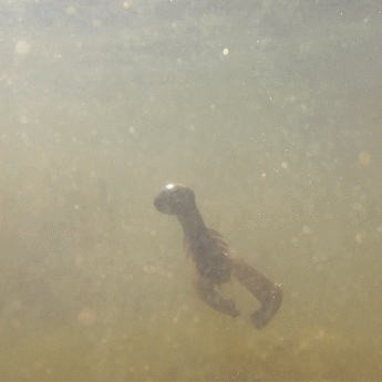 Reaction Tackle Lead Swing Football Jigs- 5-PACK - New - Gio's Outdoors