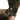 Softshell Glove - Gio's Outdoors