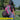 High Visibility Pink Reflective Commuter Bike Backpack |Riderbag Reflektor35 - Gio's Outdoors
