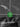 ROCKBROS Balaclava Thermal Full Face Ski Mask with Brim Windproof Neck Warmer - Gio's Outdoors -ROCKBROSUSA