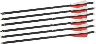 20" Carbon Arrows BearX TrueX 6 pack