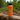 32oz Double Insulated Steel Water Bottle - Gio's Outdoors -Orange Mud, LLC