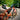 Bike Frame Bag, Welded Seams, TPU Coated, Black - Gio's Outdoors -Orange Mud, LLC