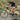 Adventure Pack, 12L 3.0: Ideal for ultra running, hiking, mountain biking - Gio's Outdoors -Orange Mud, LLC