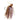 Reaction Tackle Tungsten Scrounger Jigs (2-Pack) - Gio's Outdoors