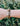 Tiger Eye Cross - Gio's Outdoors -Elevated Faith